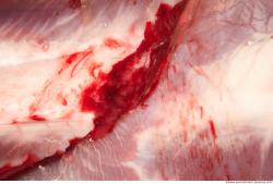 Photo Textures of RAW Pork Meat